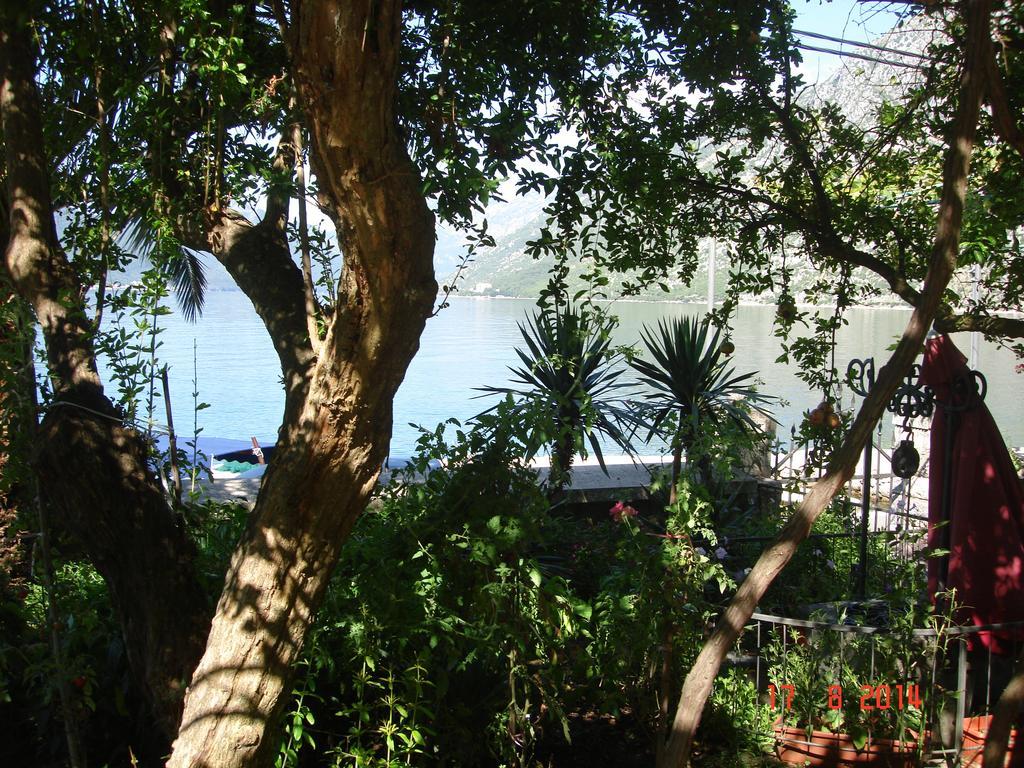 Apartment Radimiri Kotor Room photo